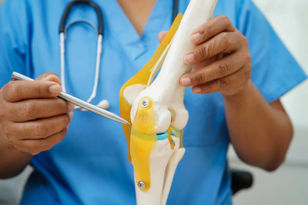 Orthopaedics
